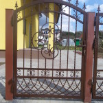 IMGP0589